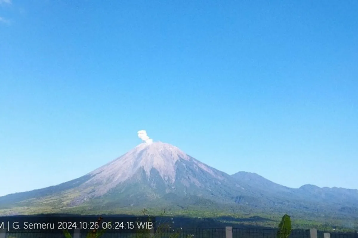 Gunung Semeru erupsi dengan tinggi kolom letusan 600 meter pada Sabtu, 26 Oktober 2024, pukul 06.23 WIB, BP/ANTR.