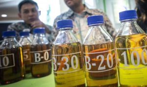 Kementerian ESDM Tetapkan Harga Biodiesel Oktober 2024 Rp12.633/Liter