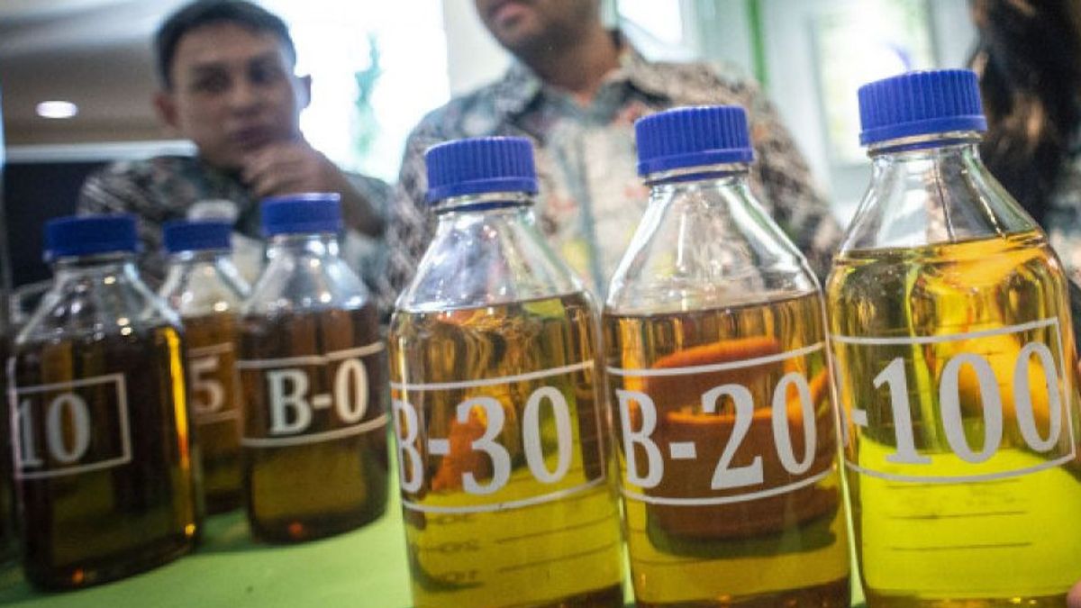 Kementerian ESDM Tetapkan Harga Biodiesel Oktober 2024 Rp12.633/Liter