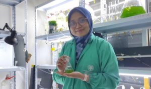 Hibah penelitian ini tidak hanya memberikan dukungan finansial, tetapi juga membuka peluang kolaborasi dengan peneliti internasional, khususnya dari Jepang.