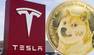 Tesla Pindahkan Bitcoin: Spekulasi Penjualan di Tengah Kontroversi Cryptocurrency