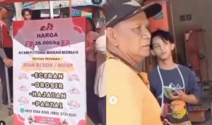 pedagang pasar viral jual murah ayam potong