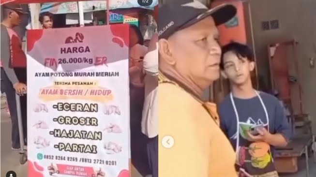 pedagang pasar viral jual murah ayam potong
