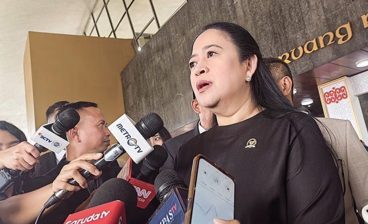 Puan Maharani merespon masuknya kader PDIP ke kabinet Prabowo