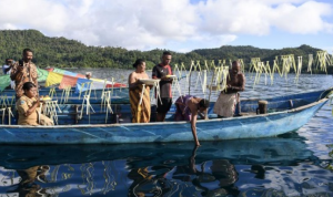 Kawasan Konservasi: Solusi Pelestarian Alam dan Pertumbuhan Ekonomi (CNN Indonesia)