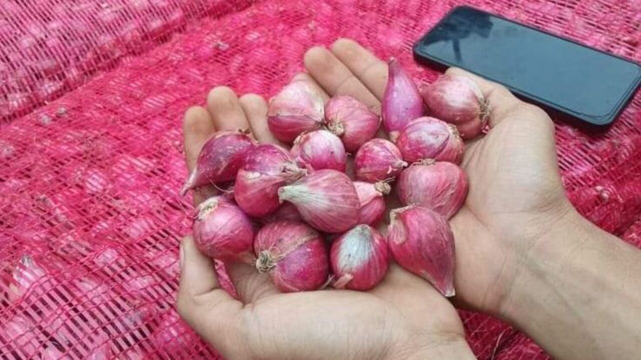 Harga Komoditas Pangan Naik per Senin (11/11), Bawang Putih Tembus Rp36.410 per Kg