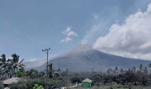 Penampakan gunung lewotobi laki-laki pada senin lalu, setelah erupsi, BP/KMPS.