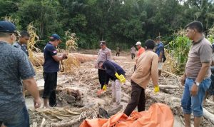 "Kami akan terus bekerja sama dengan tim medis untuk memastikan identitas dari kerangka tersebut," kata Kapolsek. Petugas sedang mengumpulkan kerangka di kawasan Perladangan Namo Terbang, Desa Kidupen, Kecamatan Juhar, Kabupaten Karo, pada Sabtu (2/11/2024), BP/RRI.