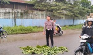 Balita 3 Tahun Tewas Terlindas Truk di Jalan Medan Sampali, Percut Sei Tuan