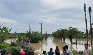 Banjir Menghantam Kota Medan, Rumah Warga Terendam Saat Pilkada Serentak 2024