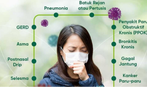 Batuk Berkepanjangan? Kenali Penyebab, Gejala, dan Cara Mengatasinya (halodoc.com)