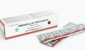 Amoxicillin: Obat Antibiotik untuk Mengatasi Infeksi Bakteri (Alodokter.com)