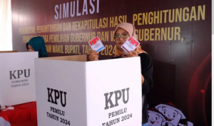 Cek DPT Online untuk Pilkada 2024 Nomor dan Lokasi TPS di Ujung Jari Anda (CNBC Indonesia)