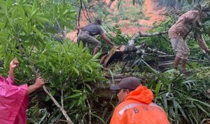Empat Korban Longsor di Desa Harang Julung Ditemukan Meninggal Dunia