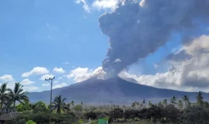 Erupsi Gunung Lewotobi Laki-Laki Masih Berlanjut, Dampak Bagi Pemukiman dan Pos Pengamatan