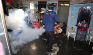 Fogging Solusi Akhir Tekan Kasus DBD di Way Kanan (KBRn)