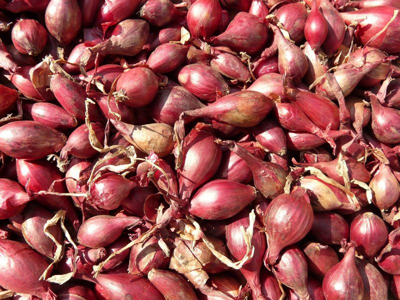 Harga Komoditas Pangan Fluktuatif, Bawang Merah Naik Signifikan