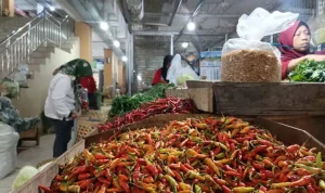 Harga Komoditas Pangan Naik di Seluruh Indonesia, Update 26 November 2024