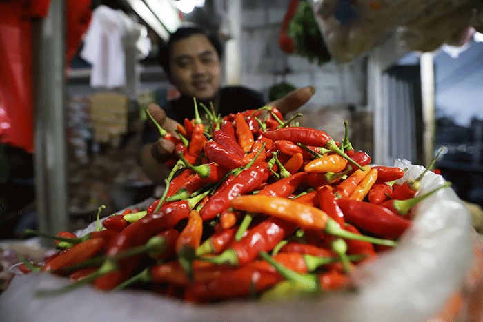 Harga Pangan di Indonesia Menurun: Bapanas Catat Penurunan Harga Berbagai Komoditas