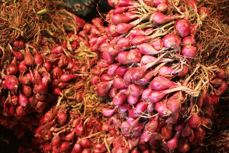 Harga Pangan Naik Signifikan, Bawang Merah Tembus Rp32.240 per Kg