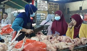 Harga Pangan Nasional Naik Signifikan, Daging Ayam Ras dan Beras Jadi Penyumbang Kenaikan Tertinggi