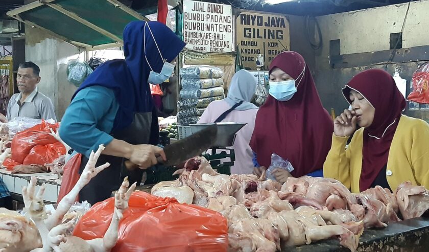 Harga Pangan Nasional Naik Signifikan, Daging Ayam Ras dan Beras Jadi Penyumbang Kenaikan Tertinggi