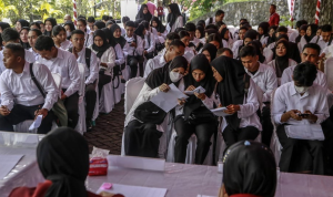 Hasil SKD CPNS 2024 Daftar Link, Syarat Lulus, dan Cara Cek (TRIBUNNEWS.COM)