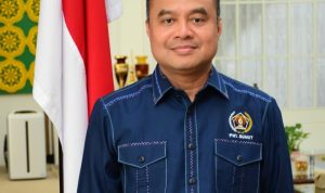Ketua PWI Sumut, Farianda Sinik.(Istimewa).