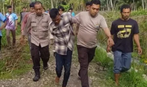 Kapolres Mandailing Natal Ungkap Motif Pembunuhan Ibu Kandung oleh Wildan, Pecandu Narkoba
