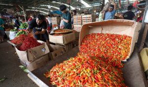 Kenaikan Harga Pangan Tercatat di Seluruh Indonesia pada 4 November 2024