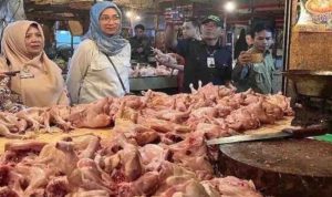 Kenaikan Harga Pangan Tercatat di Seluruh Indonesia per 5 November 2024