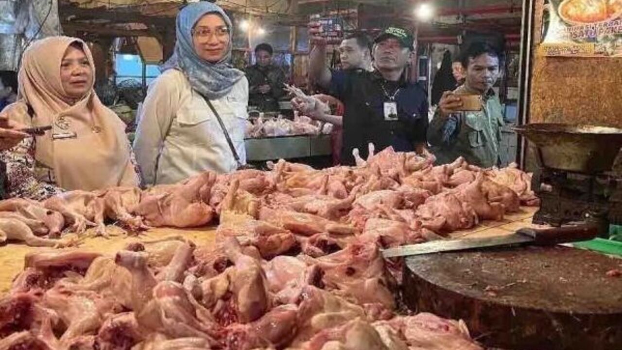 Kenaikan Harga Pangan Tercatat di Seluruh Indonesia per 5 November 2024