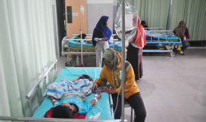 Musim Hujan Picu Peningkatan Kasus DBD di Yogyakarta, Ini Langkah Pengendaliannya (JPNN.com)