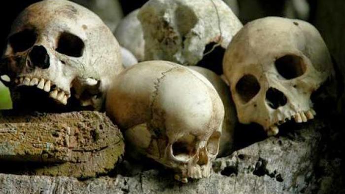 Penemuan Kerangka Manusia Gegerkan Warga Hutan Kabupaten Toba