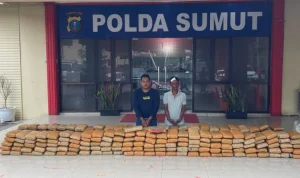 Polda Sumut Berhasil Gagalkan Penyelundupan 272 Kg Ganja di Langkat