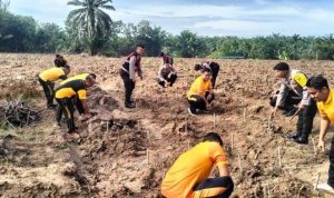 Polri melakukan pembersihan dan penggemburan tanah di Jalan Lubuk Pakam-Galang, Pagar Merbau, Sabtu (2/11/2024), sebagai dukungan nyata untuk swasembada pangan menuju Indonesia Emas 2045, BP/TRBN.