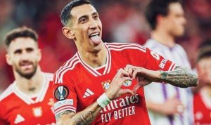 Prediksi Skor Farense vs Benfica, Portugal Primeira Liga Musim 2024, 3 November 2024