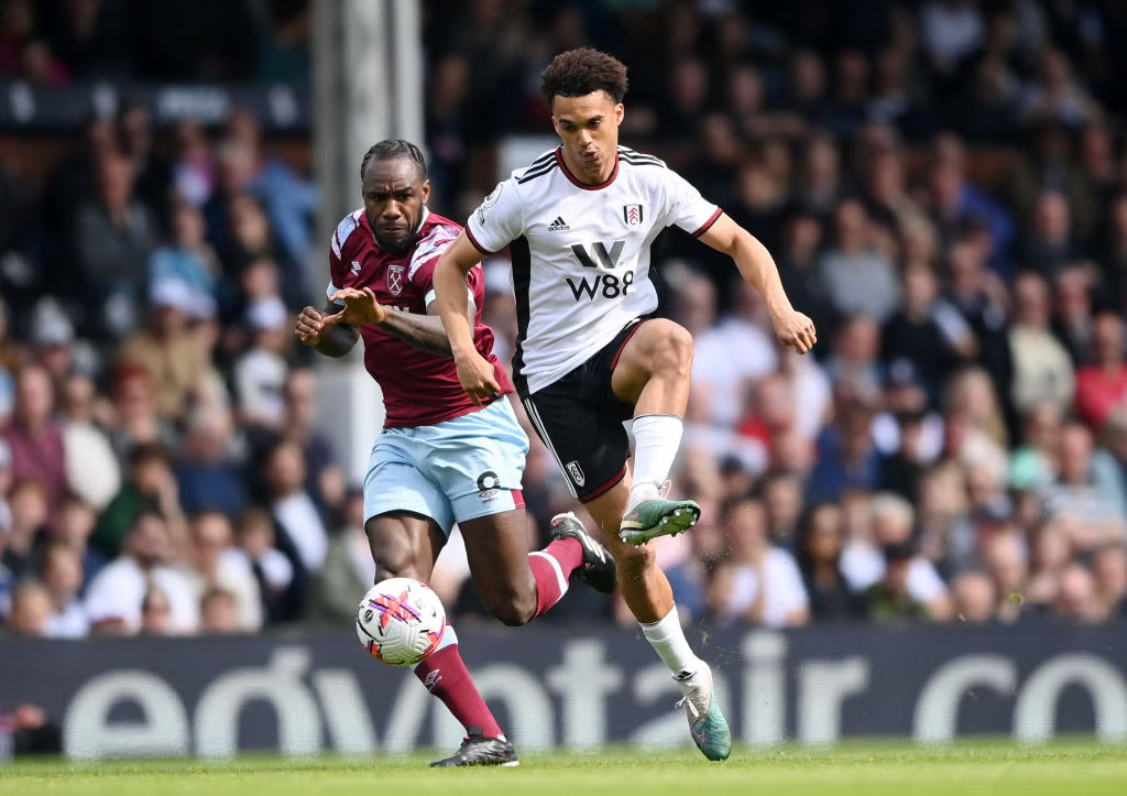 Prediksi Skor Fulham vs Wolverhampton, Liga Premier Musim 2024, 23 November 2024