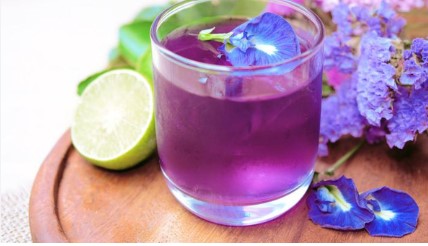 Rutin Minum Teh Bunga Telang, Ini Penyakit yang Bisa Dicegah (Kompas.com)