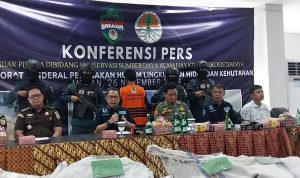 Sindikat Perdagangan Sisik Trenggiling 1,1 Ton Terbesar Dibongkar