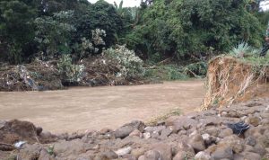 Tanggul Jebol, 120 Rumah di Tanjung Selamat Medan Terendam Banjir
