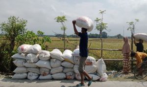 Ilustrasi, Seorang petani yang membawa hasil panennya, BP/MTR.