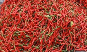 Harga Pangan Nasional Turun Signifikan: Cabai Merah Keriting hingga Beras Alami Penurunan