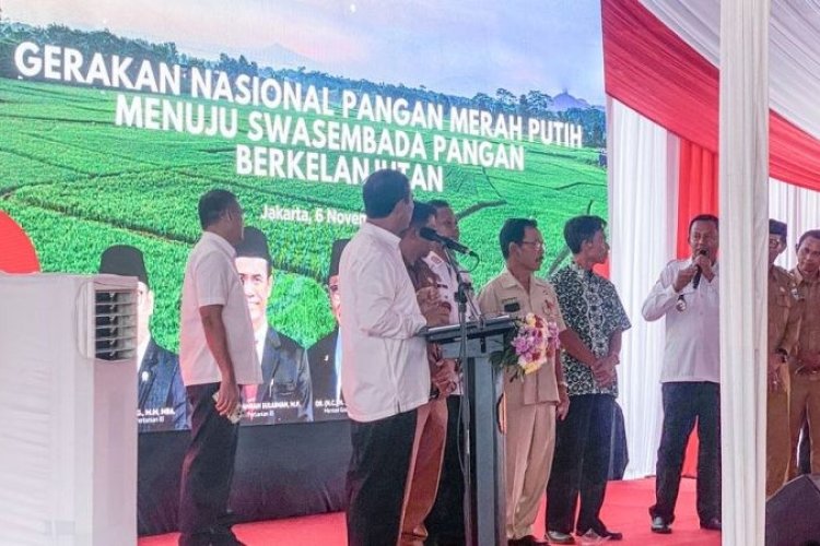 Skandal Pupuk Subsidi: Mentan Amran Murka, Minta Manajer Dicopot (Lambeturah.co.id)