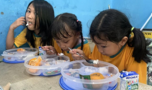 Program Makan Bergizi Gratis Rp 15.000 Mulai Januari 2025, Inilah Informasi Lengkapnya ( detik.com)