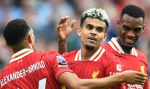 Prediksi Skor Liverpool vs Manchester City, English Premier League Musim 2024/2025, 01 Desember 2024