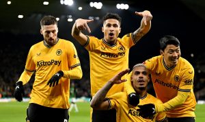 Prediksi Skor Wolverhampton Wanderers vs Bournemouth, Liga Primer Inggris Musim 2024, 30 November 2024