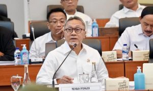 Menko Pangan Zulkifli Hasan: Beras Premium Aman dari PPN 12 Persen