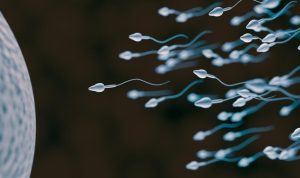 5 Cara Sederhana untuk Meningkatkan Kualitas Sperma Pria