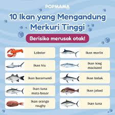 Ini Dia 10 Ikan yang Mengandung Merkuri Tinggi dan Berisiko Bagi Kesehatan
